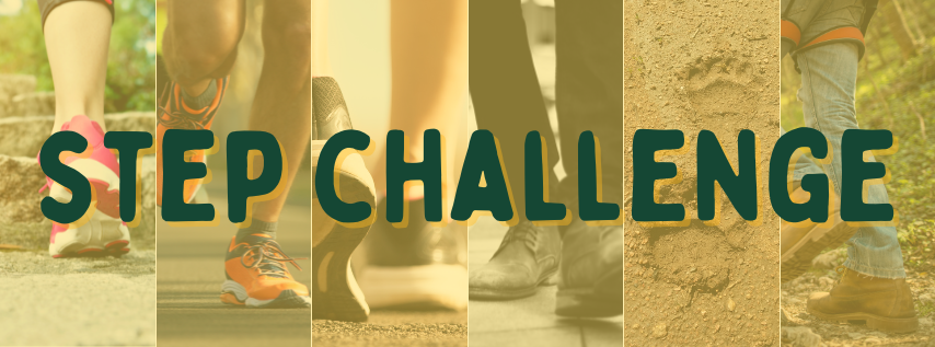 Step Challenge Banner Image